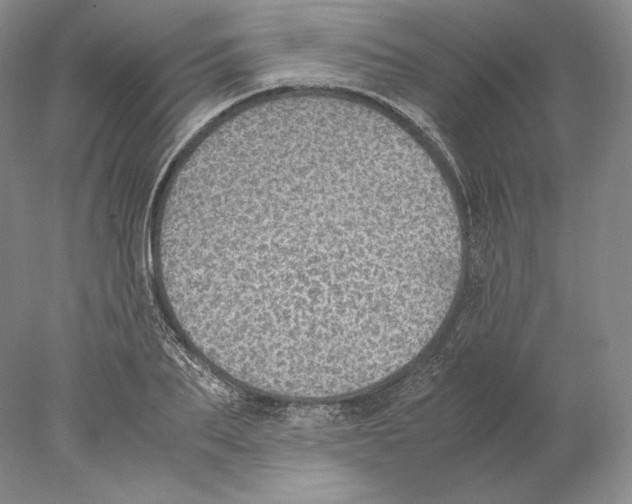 X0000077990887200611251408