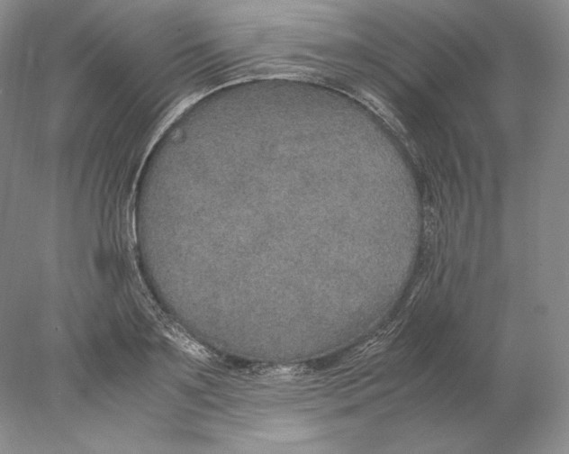X0000077990891200611251408