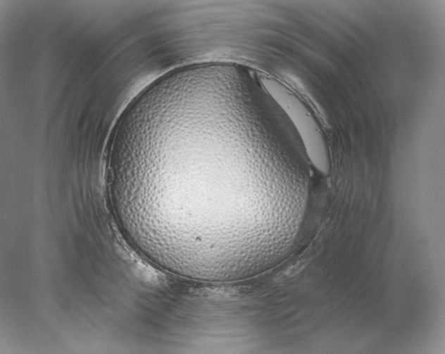 X0000077990900200611251408