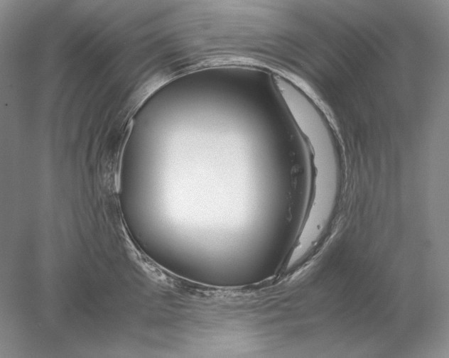 X0000077990905200611251408