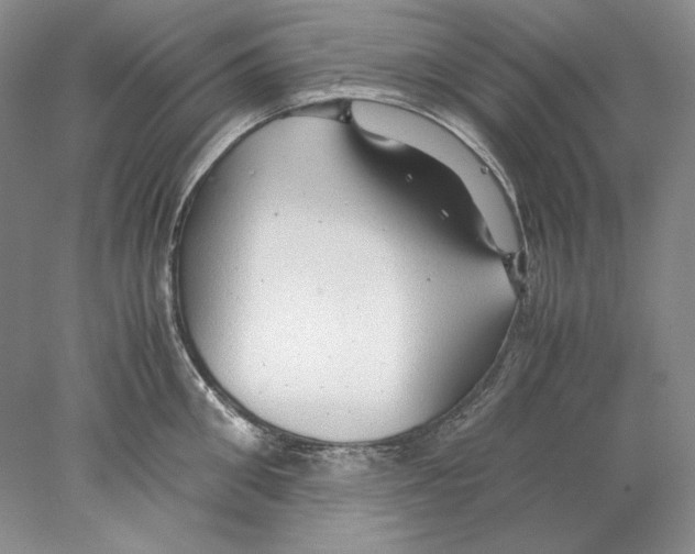 X0000077990906200611251408