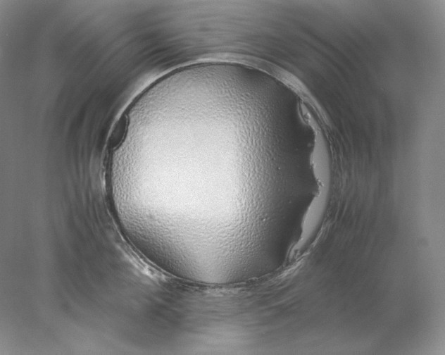 X0000077990908200611251408