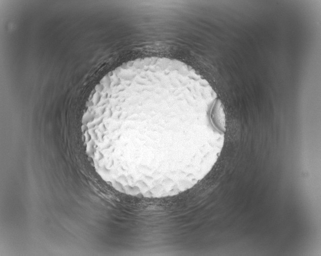 X0000077990913200611251407
