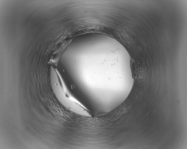 X0000077990916200611251407