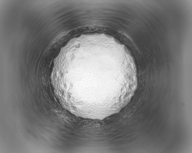 X0000077990919200611251407