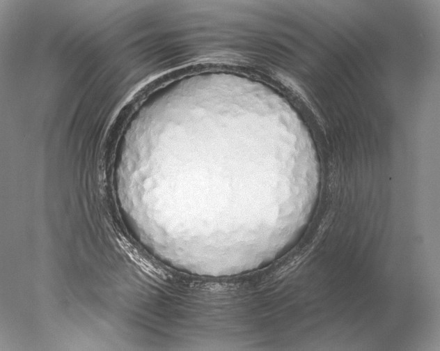 X0000077990923200611251407