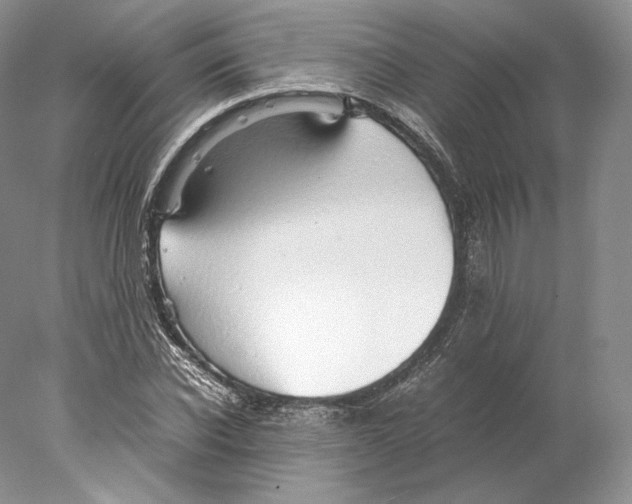 X0000077990926200611251407