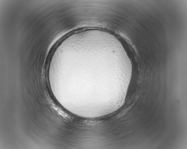 X0000077990928200611251407