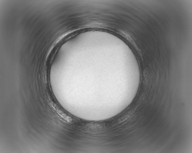X0000077990931200611251407