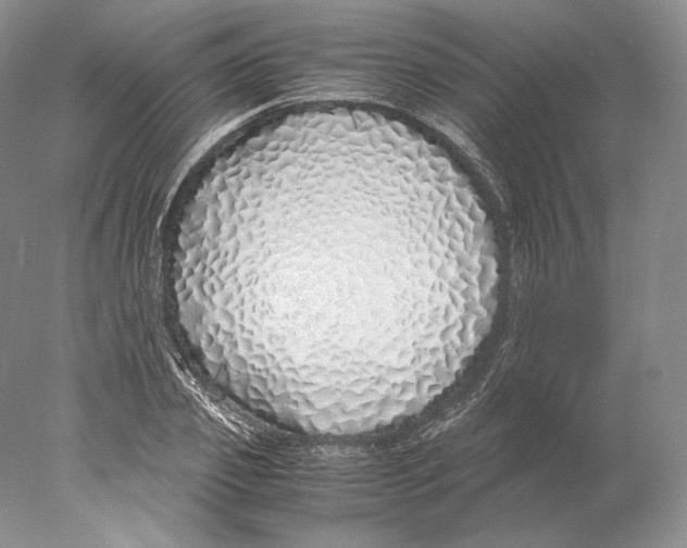X0000077990933200611251407