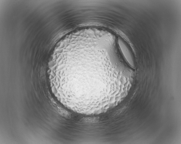 X0000077990937200611251407
