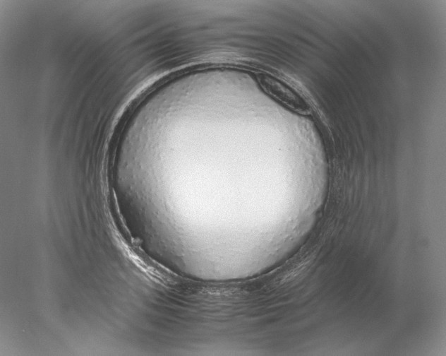 X0000077990939200611251407