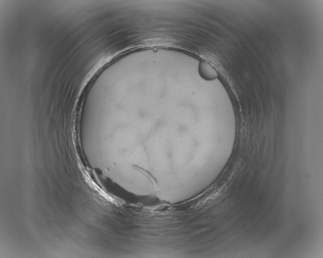 X0000077990941200611251408