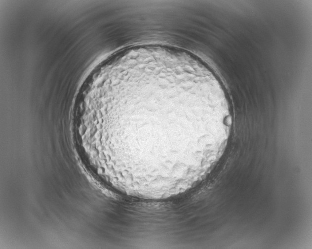 X0000077990949200611251408