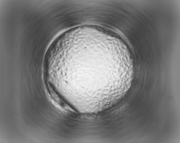 X0000077990955200611251408