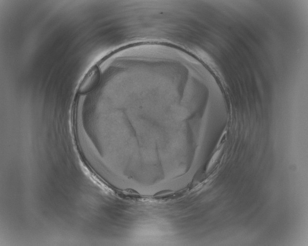 X0000077990958200611251408