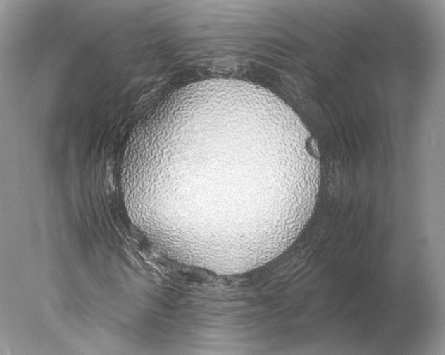 X0000077990962200611251407