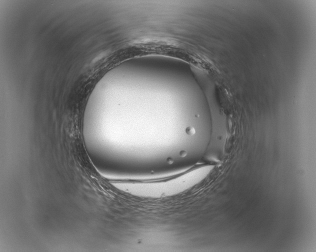 X0000077990965200611251407