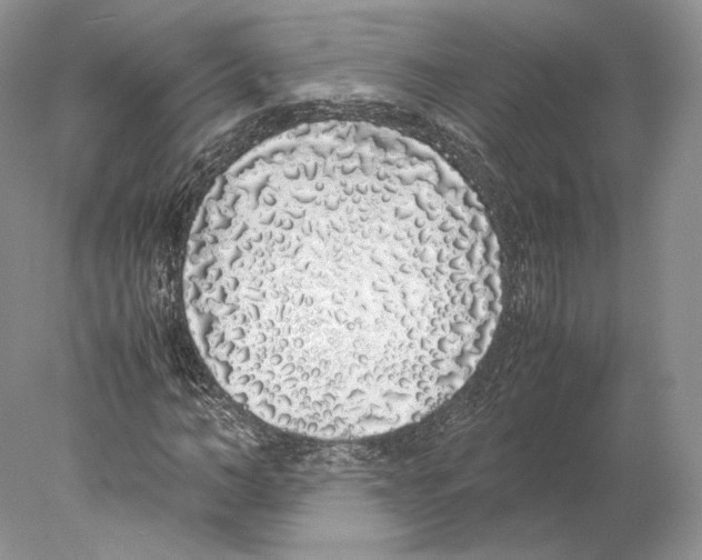 X0000077990966200611251407