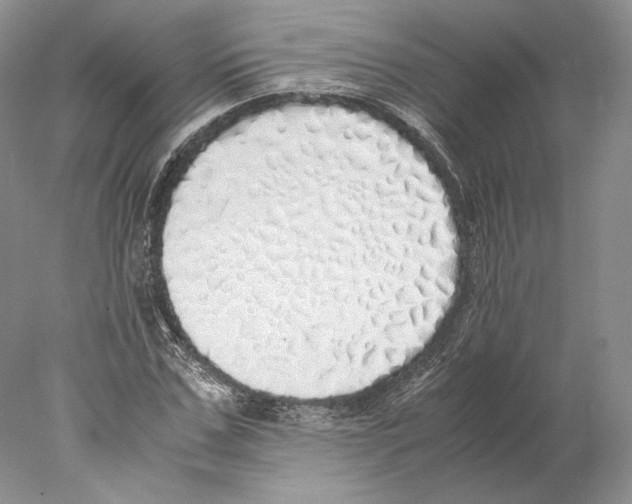 X0000077990971200611251407
