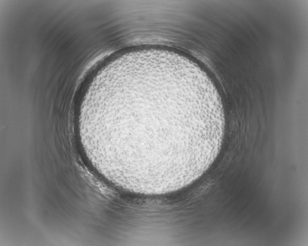 X0000077990979200611251407