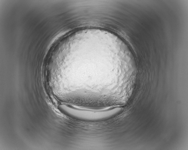 X0000077990987200611251407