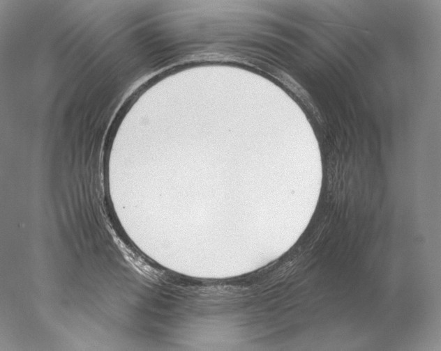 X0000077990988200611251407