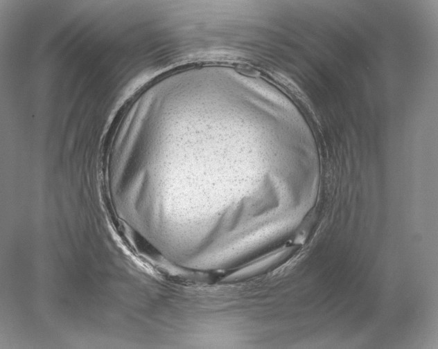 X0000077990989200611251407