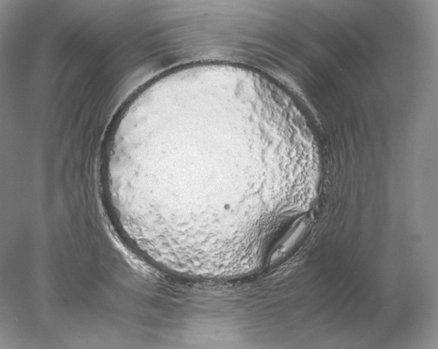 X0000077990991200611251407