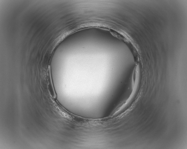 X0000077990993200611251407