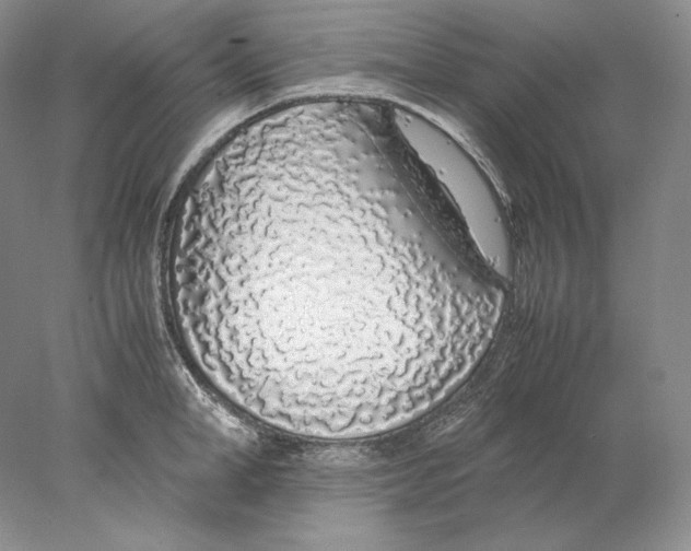 X0000077990998200611251406