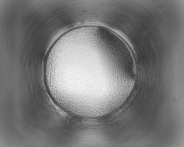 X0000077991006200611251406