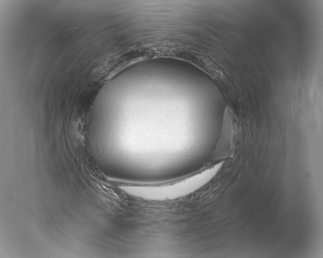 X0000077991010200611251405