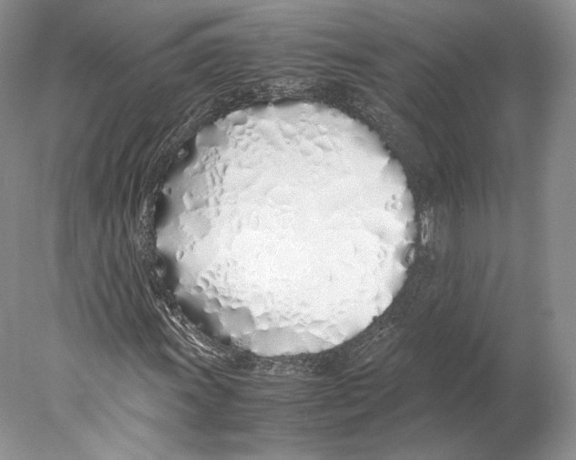X0000077991011200611251405