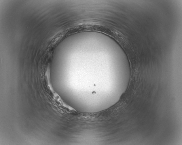 X0000077991014200611251406