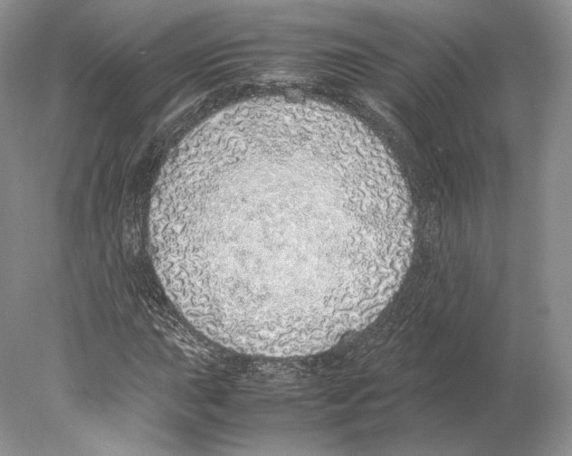 X0000077991015200611251406