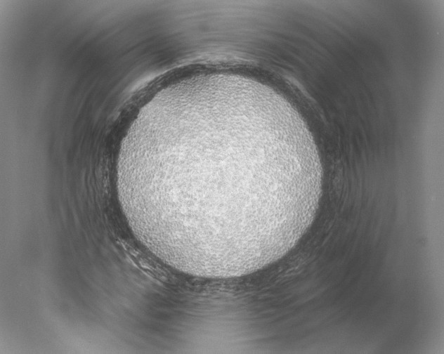 X0000077991016200611251406