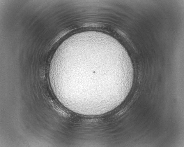 X0000077991017200611251406