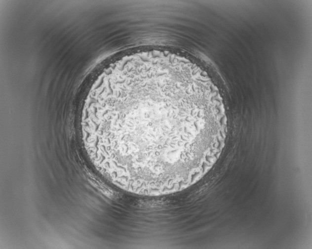 X0000077991019200611251406