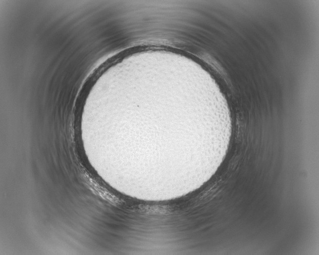 X0000077991020200611251406