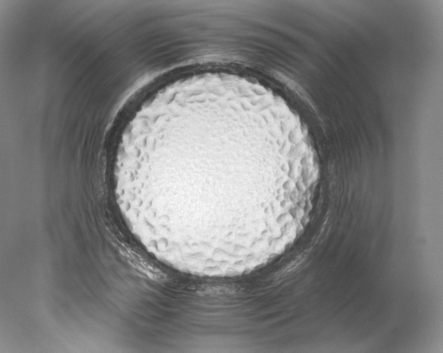 X0000077991021200611251406