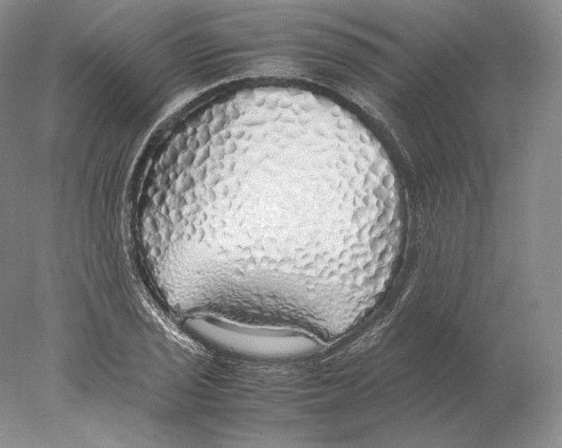 X0000077991029200611251406