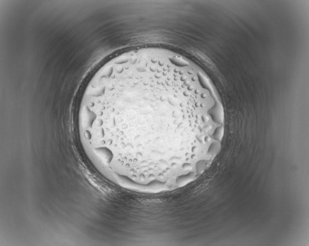 X0000077991031200611251406