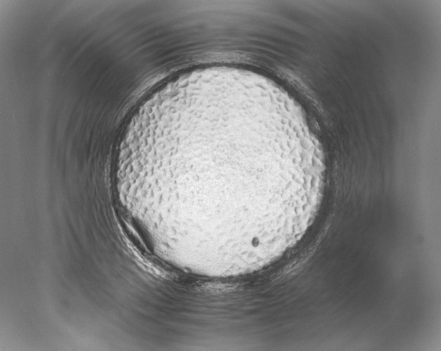 X0000077991033200611251406