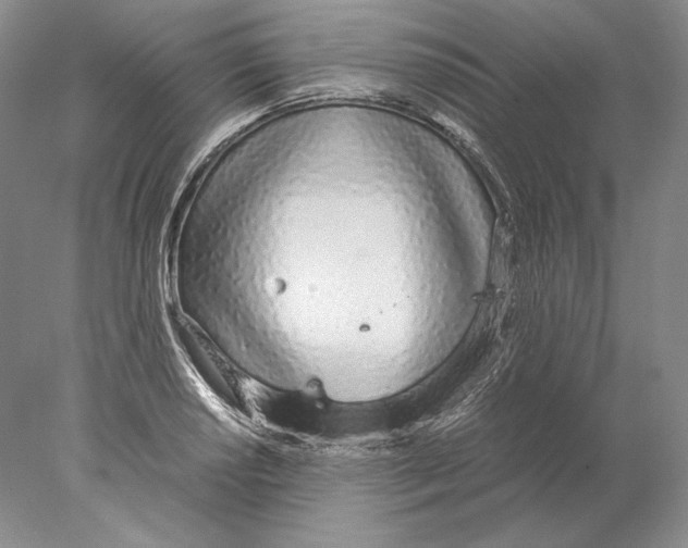 X0000077991034200611251406