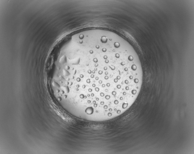 X0000077991035200611251406
