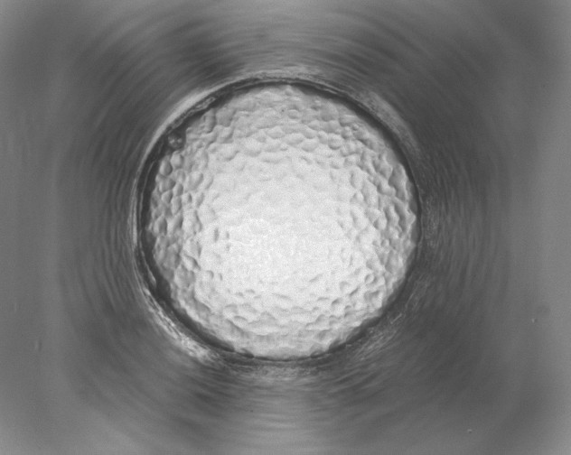 X0000077991036200611251406