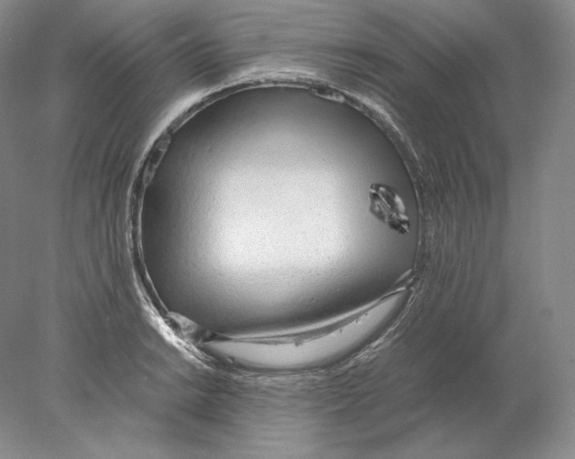 X0000077991038200611251406