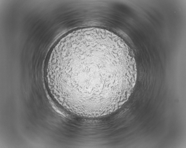 X0000077991039200611251406