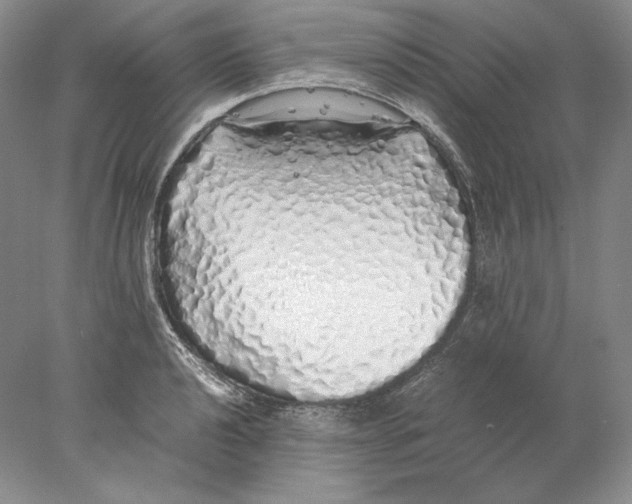 X0000077991040200611251406